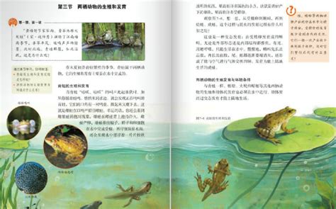 2020八年级下册生物书人教版电子书 2020八年级下册生物电子课本高清版 东坡下载