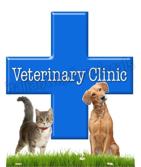 Veterinary Cross With Dog And Cat In Adhesive And Double Sided Decal