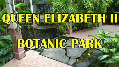 Queen Elizabeth Ii Botanic Park Amazing Views Of The Cayman Islands