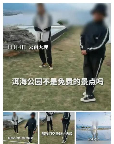 洱海公園最佳位置被外包，遊客禁止入內引熱議，文旅廳回應寒人心 每日頭條