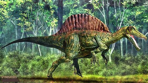 Nombres De Dinosaurios Carnívoros Los 5 Más Temibles