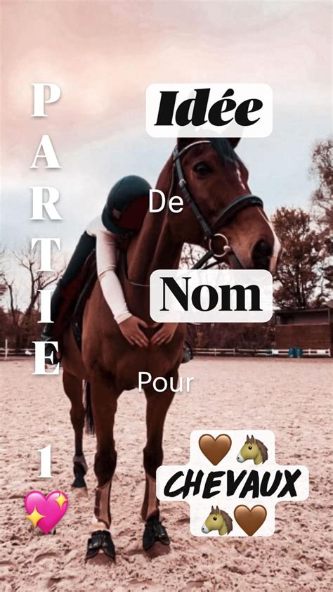 Id E De Nom Pour Chevaux Part En Cheval Id E De Nom