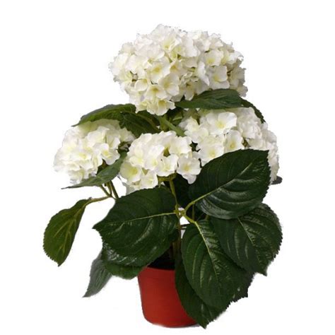 Topart Kunstplant Met Bloemen Hortensia Wit H36 Cm Dia 10 Cm