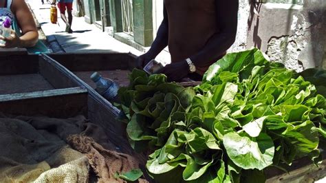 La Crisis De Alimentos En Cuba Es Prueba De Incompetencia