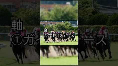 GⅠ【菊花賞】ワイド予想 競馬動画まとめ