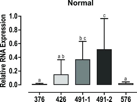 Relative expression of FMR1 gene. FMR1 RNA expression using different ...