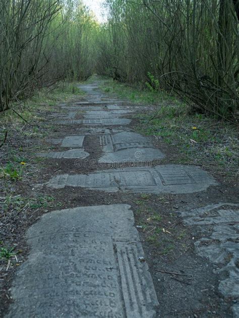 Il Percorso Delle Tombe Di Ebrei Artificiali Nella Cava Di Liban