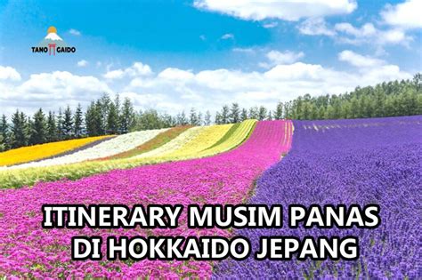 Jelajahi Desa Dongeng Zawa Zawa Mura Di Hokkaido Wisata Jepang