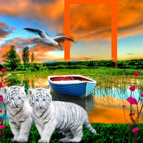 It Smichelle S Wildlife Frames May Beautiful Tigers Horror