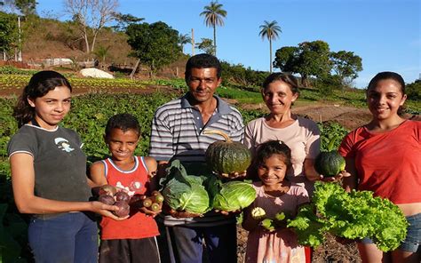 Descubre Todo Sobre La Agricultura Familiar Y Su Importancia