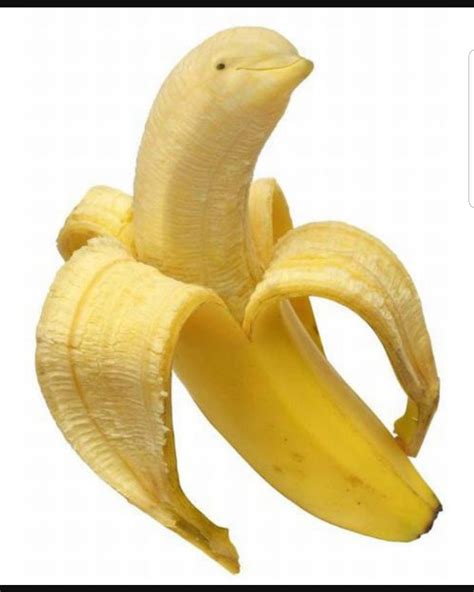 Bananafin Rbananimals