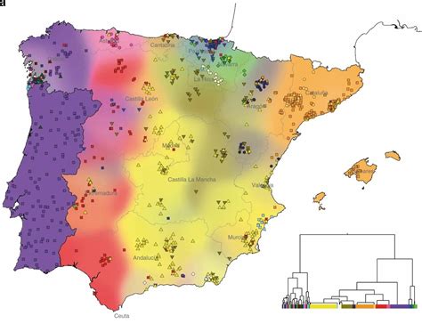 Map of genetics in Iberian Peninsula : r/MapPorn