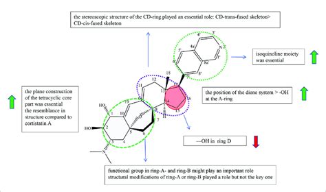 Summary Of Structure Activity Relationship Of Cyclopregnane Alkaloids