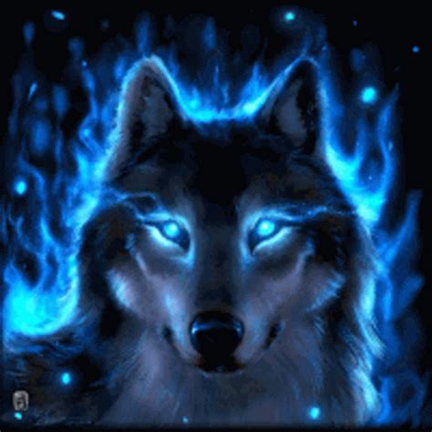 Ice Wolf Wallpaper Gif - Goimages Zone