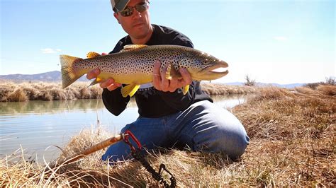 The Fly Syndicate Fly Fishing Northern Nevada The Trifecta