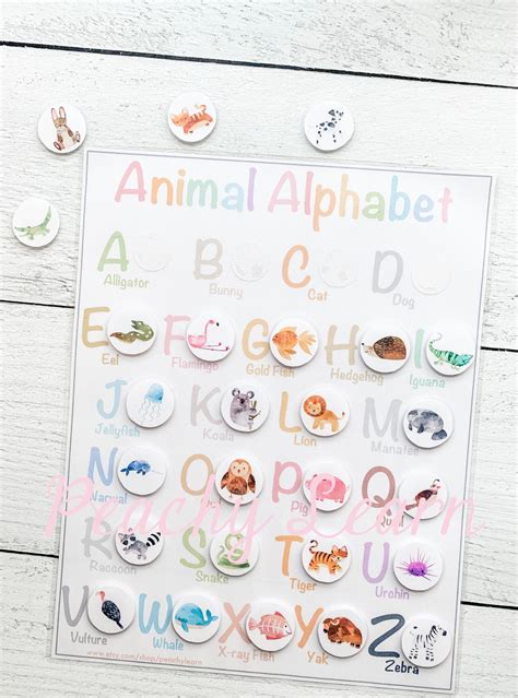 Animal Alphabet Printable Sorting Learning Time, Preschool, Homeschool ...