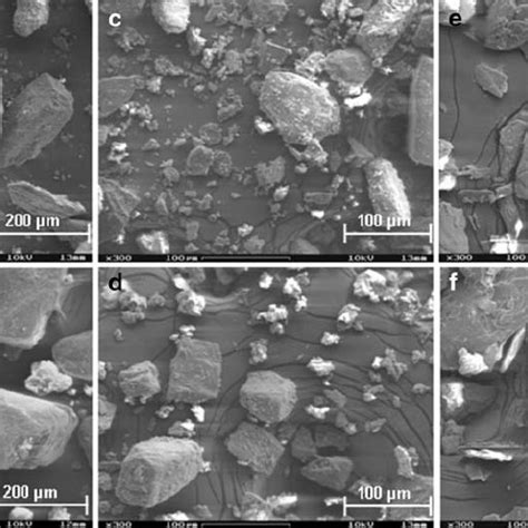 Scanning Electron Micrographs Of Untreated A And Treated B