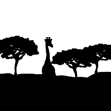 Giraffe Savanne Afrika Kostenloses Bild Auf Pixabay Pixabay