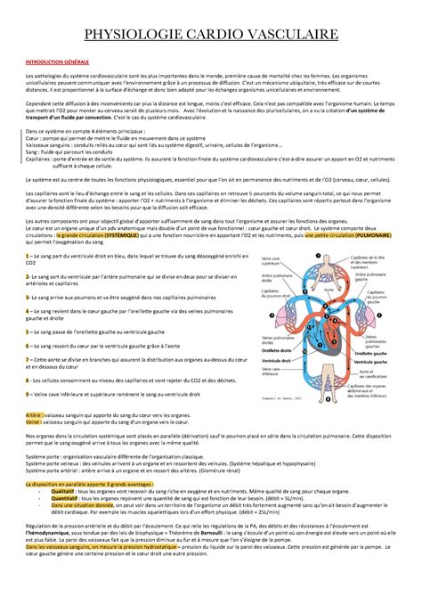 Cours Cardiorespiratoire PHYSIOLOGIE CARDIO VASCULAIRE INTRODUCTION