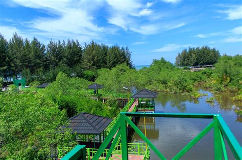 Wisata Edukasi Apar Pariaman Mangrove Park Banyak Yang Sudah Tak Sabar