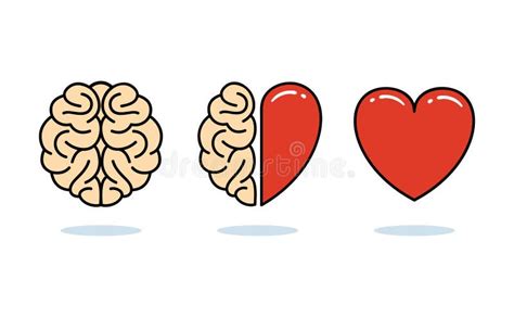 El Cerebro El Corazón Y La Combinación Ilustración Vectorial