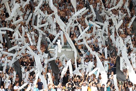 Not Cia Sobre O Palmeiras Deixou A Torcida Do Botafogo Morrendo De Medo