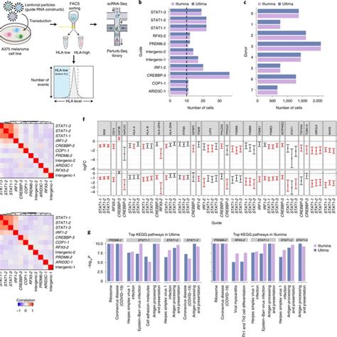 Pdf Mostly Natural Sequencing By Synthesis For Scrna Seq Using Ultima