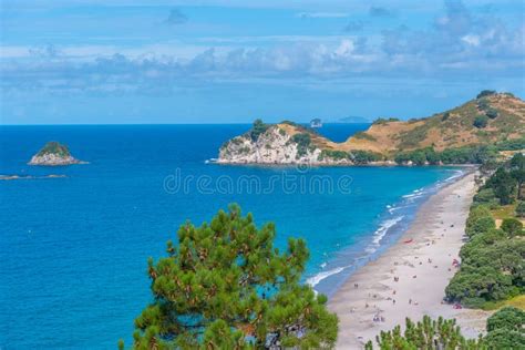 Aerial View Of Hahei Beach At Coromandel Peninsula New Zealand Stock