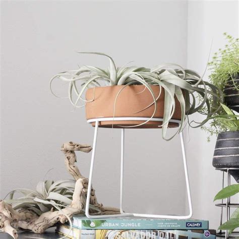 This Natural Terra Cotta Low Profile Planter On White Metal Stand Is