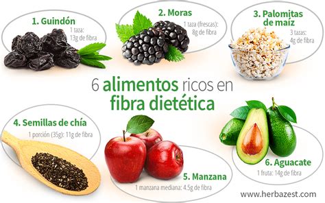 Triptico Ensenar A Comer Fibra Dietetica Nutricion Images