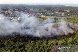 167 Titik Panas Tersebar Di Provinsi Kalimantan Timur Kantor Berita Sawit