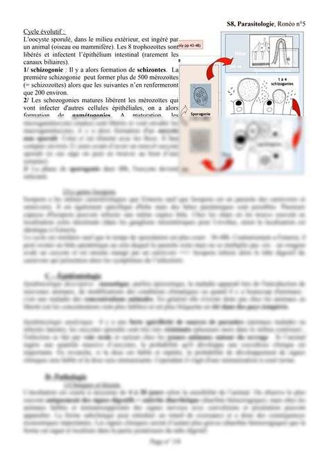 SOLUTION Coccidioses Et Cryptosporidioses Studypool