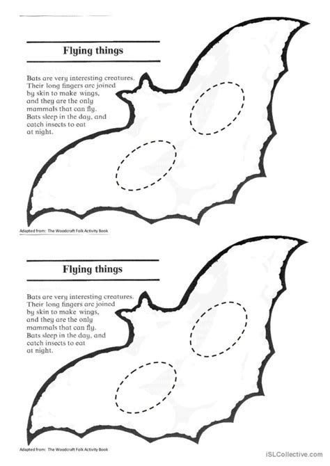 Bat Activity Worksheet Twisty Noodle Worksheets Library