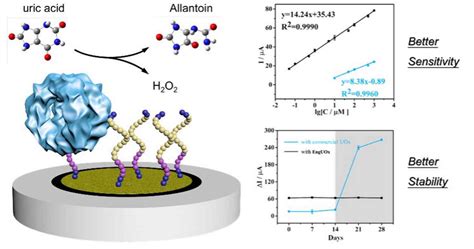 High Performance Electrochemical Biosensor Based On An Engineered