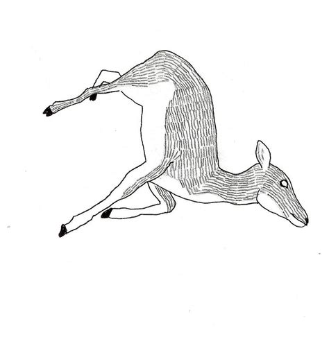 Fawn Drawing at GetDrawings | Free download