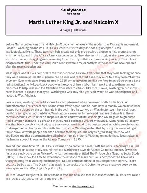 Martin Luther King Jr And Malcolm X Free Essay Example