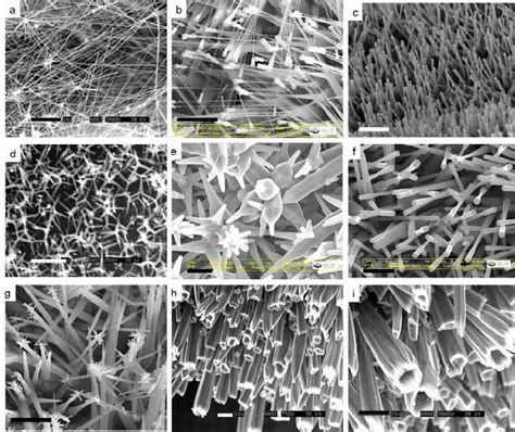 Sem Images Of D Zno Nanostructures Figure Shows Straight Zno