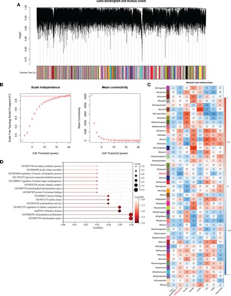 Frontiers Identification Of Pyroptosis Related Subtypes And