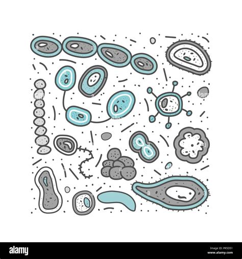 Bacteria Cells Set Of Microorganism Collection Vector Doodle Style