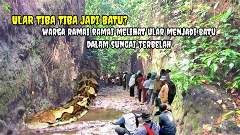 Diluar Nalar Tiba Tiba Muncul Ular Bertapa Jadi Batu Dalam Sungai