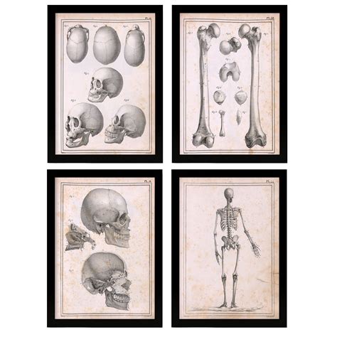 Anatomia Artistica Michel Lauricella 7
