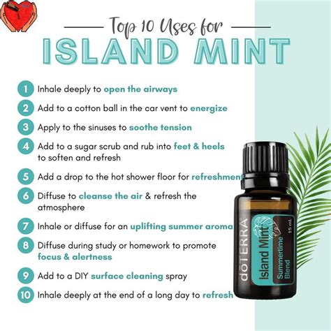 Not Sure How To Use Island Mint Check Out These Top Uses For Island