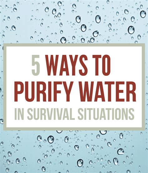 How To Purify Water In Your Home At Scarlett Alicia Blog