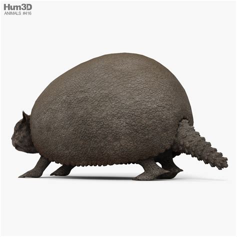 Glyptodon 3D model - Animals on Hum3D