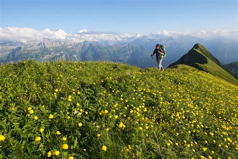 Wanderung Mit Biwak Auf Dem Hardergrat Bild Kaufen 71023558