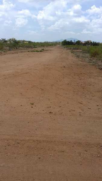 Agricultural Land Acre For Sale In Alagar Kovil Madurai Rei