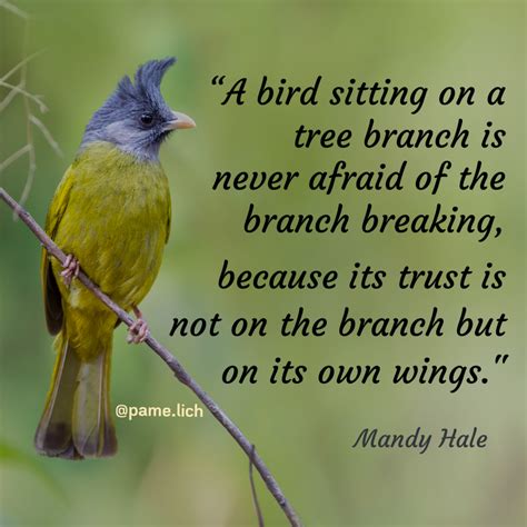 A Bird Sitting On A Tree Branch Is Never Afraid Of The Branch