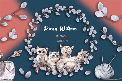 Watercolor Pussy Cat Willows Clip Art Collection Download 12 Etsy