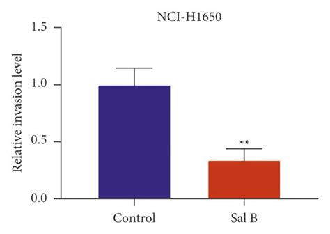 Sal B Suppresses Migration And Invasion Of Nsclc Cells A B Cell