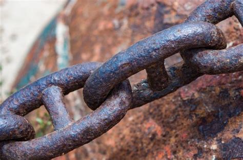 Free Images Branch Chain Old Steel Rust Orange Seaweed Freedom